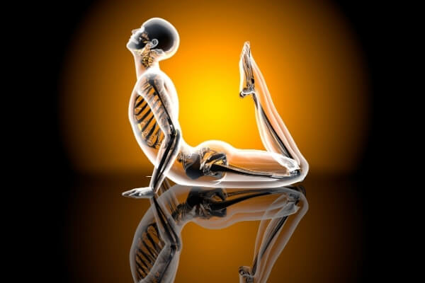 Học giải phẫu có giúp cho thực hành Yoga an toàn hơn không?