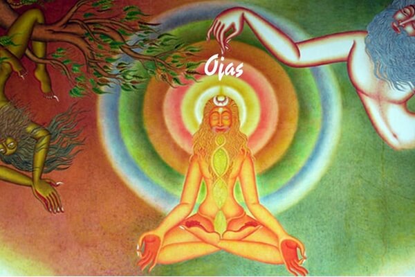Năng lượng Ojas có thể bạn chưa biết