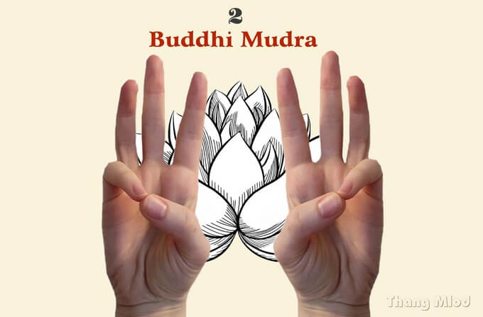 Ấn Buddhi Mudra