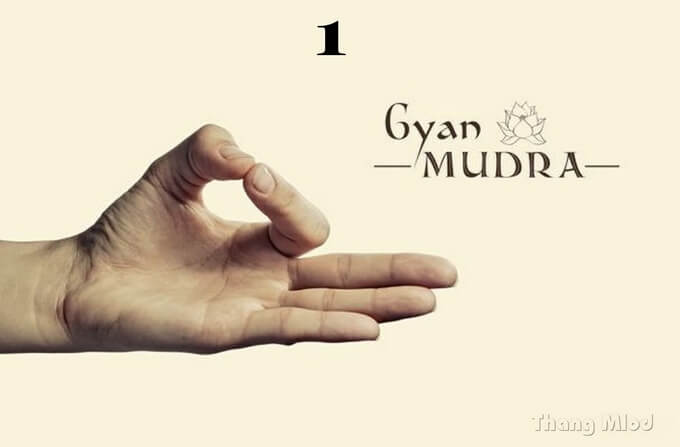 Ấn Gyan Mudra