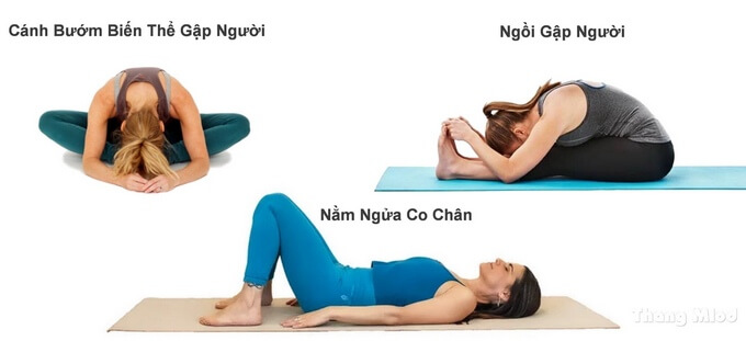 An toàn với chuỗi tư thế yoga