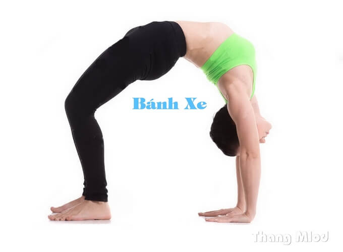 tư thế Bánh Xe - Wheel Pose.