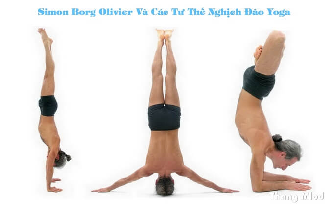 Các tư thế nghịch đảo yoga