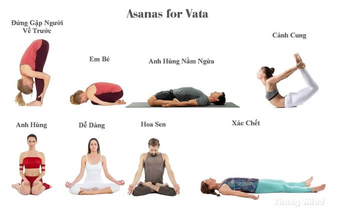 CÁC TƯ THẾ YOGA CHO VATA