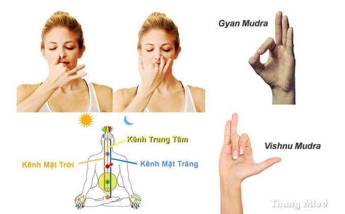 Cách thực hiện thở mũi luân phiên