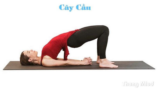 Tư thế Cây Cầu - Bridge Pose