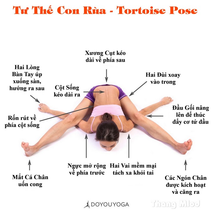 Định tuyến Tư thế Yoga con Rùa