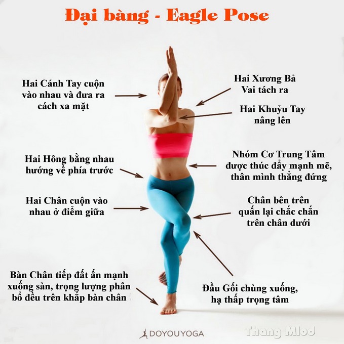 Định tuyến Tư thế Yoga Đại bàng