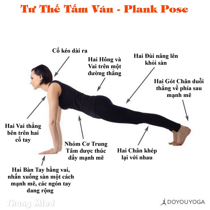 Định tuyến Tư thế Yoga Tấm ván