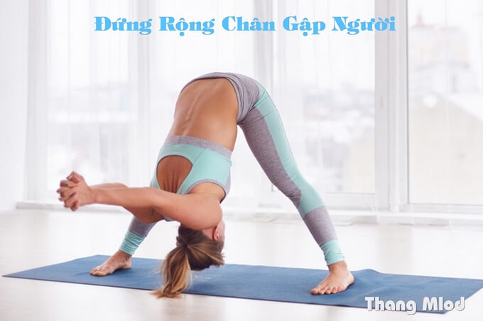 Đứng Rộng Chân Gập Người - Wide Legged Forward Fold
