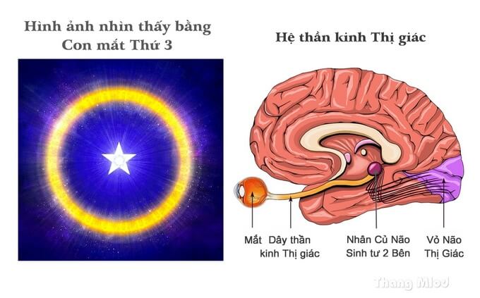 Hình nền : đối mặt, đàn bà, Đỏ, nhiếp ảnh, tóc, Miệng, Mũi, Đôi mắt đen,  Hồng, Cảm xúc, Người, da, cái đầu, ca hát, màu, con gái, sắc đẹp, vẻ đẹp,