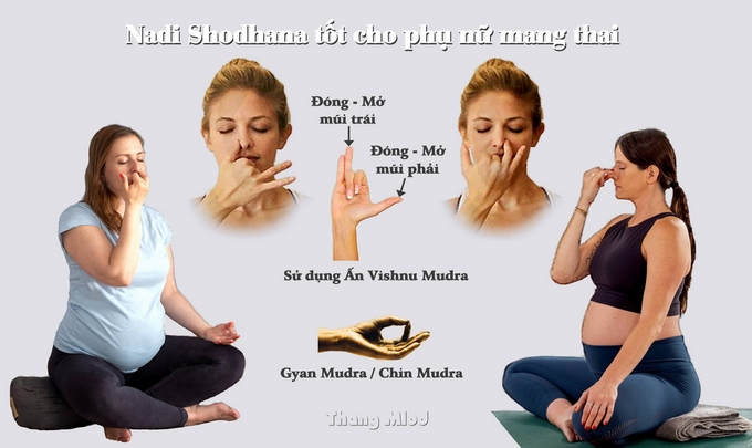Nadi Shodhana là bài tập tốt nhất dành cho phụ nữ mang thai.