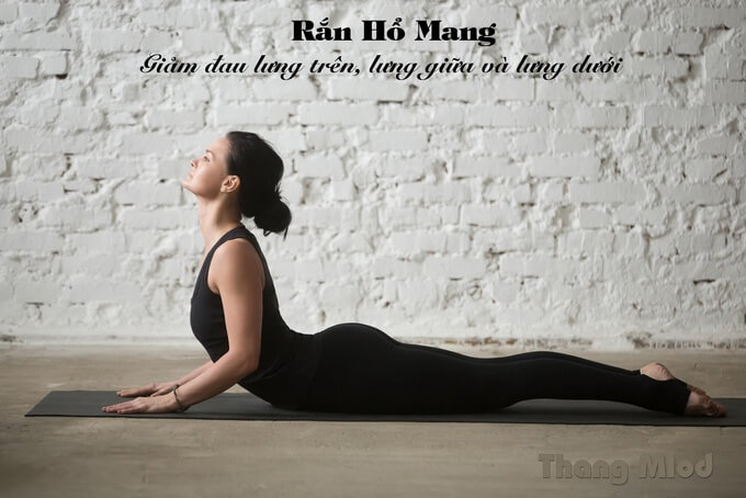  Tư Thế Rắn Hổ Mang (Bhujangasana - Cobra Pose)