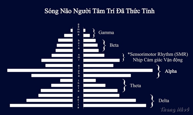 Sóng Não Người Tâm Trí Đã Thức Tỉnh