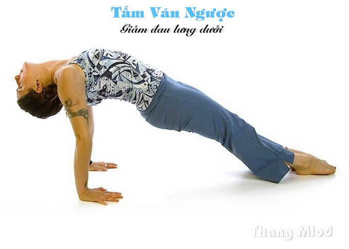 Tư Thế Tấm Ván Ngược (Purvottanasana - Upward Plank Pose)