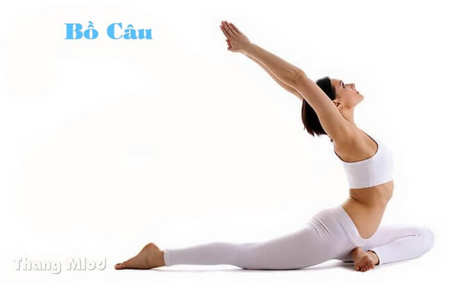 Bồ Câu (Eka Pada Rajakapotasana - Pigeon Pose)