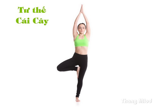 Tư thế Cái Cây (Vrikshasana - Tree Pose)