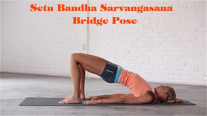 Tư thế Cây Cầu (Setu Bandha Sarvangasana - Bridge Pose)