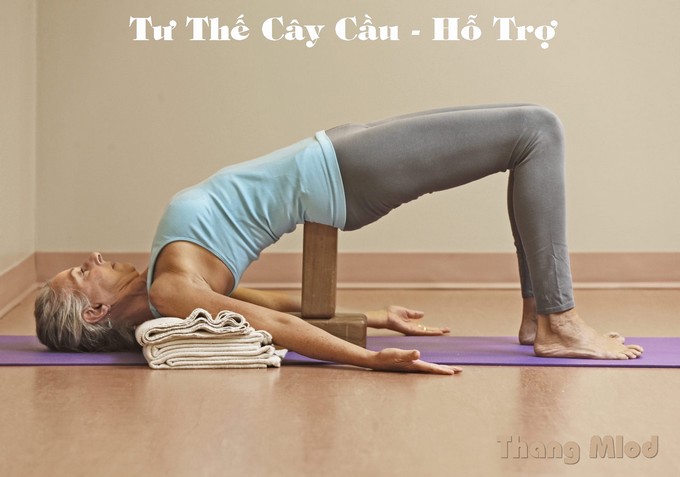 Tư Thế Cây Cầu - Hỗ Trợ - dùng gạch yoga lót ở dưới xương mông (Setu Bandha Sarvangasana - Supported Bridge)