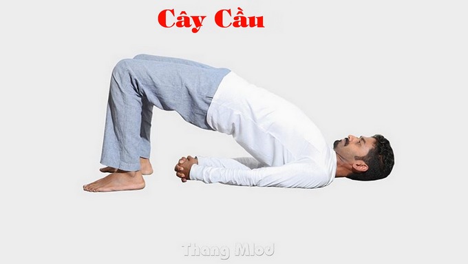 Cây Cầu (Setu Bandhasana - Bridge Pose)