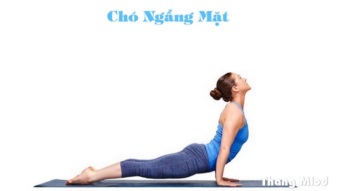 Chó Ngẩng Mặt (Urdhva Mukha Svanasana - Upward Facing Dog Pose)