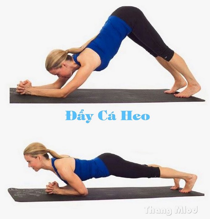 Đẩy Cá Heo (Ardha Pincha Mayurasana - Dolphin Push-ups)