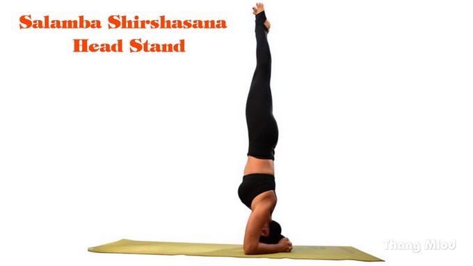 Tư thế Đứng Bằng Đầu (Salamba Shirshasana - Head Stand)