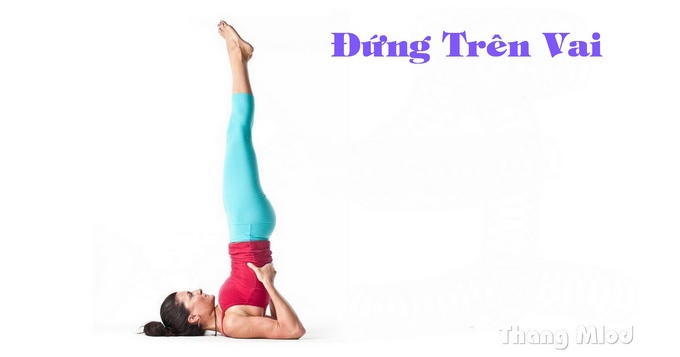 Đứng Trên Vai (Sarvangasana - Shoulder Stand)