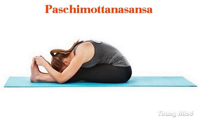 Tư thế Ngồi Gập Người (Paschimottanasana - Seated Forward Bend)