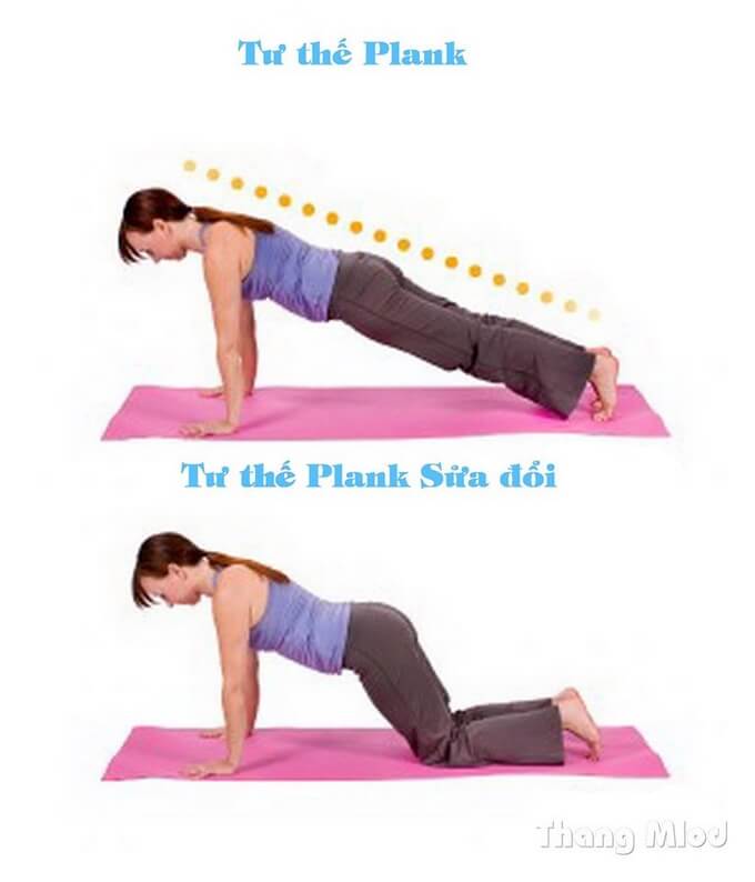 Tư thế plank sửa đổi