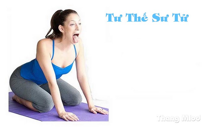 Tư Thế Sư Tử (Simhasana - Lion Pose)