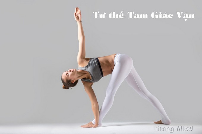 Tư thế Tam Giác Vặn (Parivrtta Trikonasana - Revolved Triangle Pose)