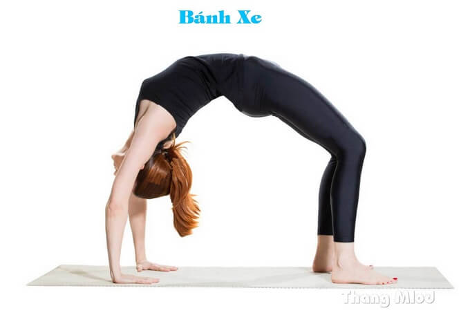 Tư Thế Bánh Xe (Wheel Pose - Urdhva Dhanurasana)