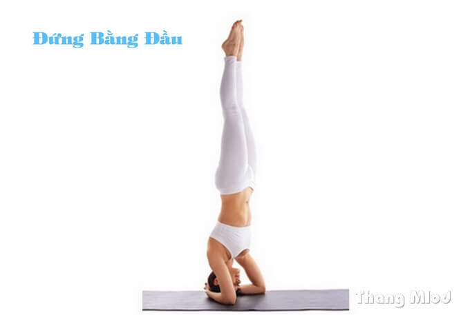 Tư Thế Đứng Bằng Đầu (Headstand - Salamba Sirsasana)