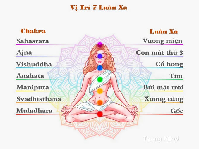 Vị trí 7 luân xa và con mắt thứ 3