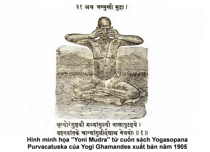 Yoni Mudra trong yoga