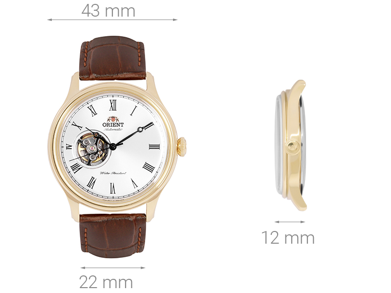 Đồng hồ cơ Nam Orient FAG00002W0 - (Automatic)