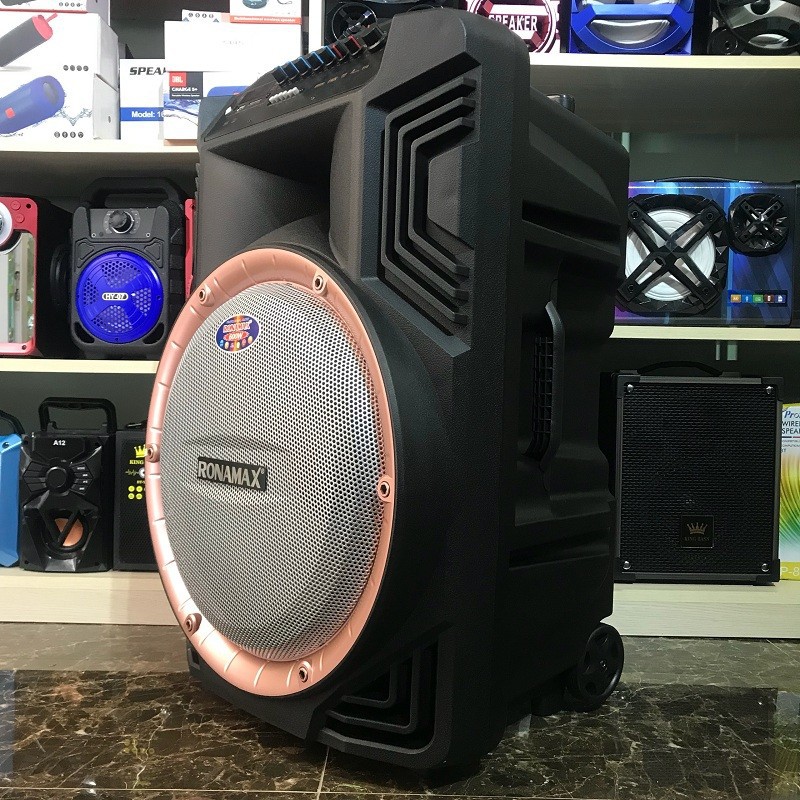 Loa kéo RONAMAX B15A + 2 Mic