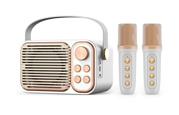 Loa karaoke YS-106 + 2 Mic