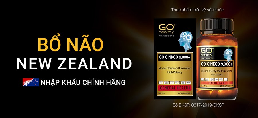 Viên uống bổ não GO Ginkgo 9000+