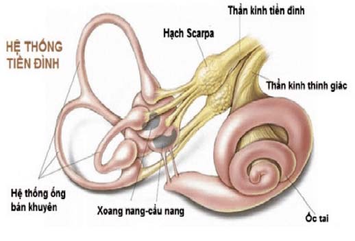 rối loạn tiền đình