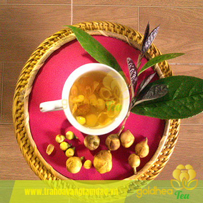 Trà hoa vàng Tam Đảo làm dậy cơn sốt thưởng trà thảo mộc vì sức khỏe