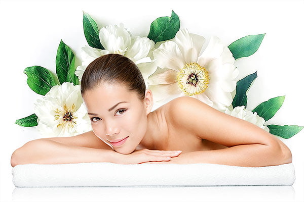 Vichy Landing Page