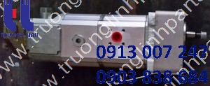 1877419 PUMP GP-GEAR