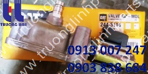 2443114 VALVE GP
