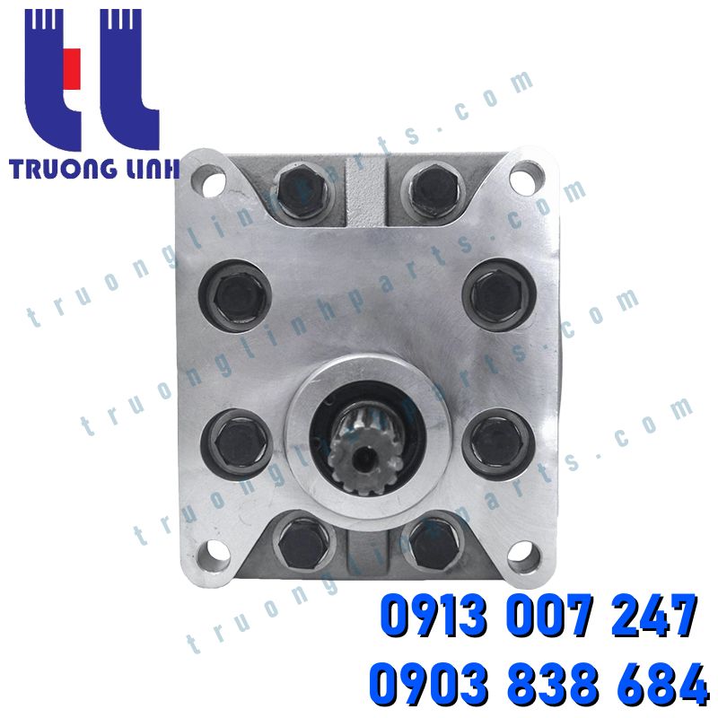 704-12-38100 Komatsu Hydraulic Gear Pump