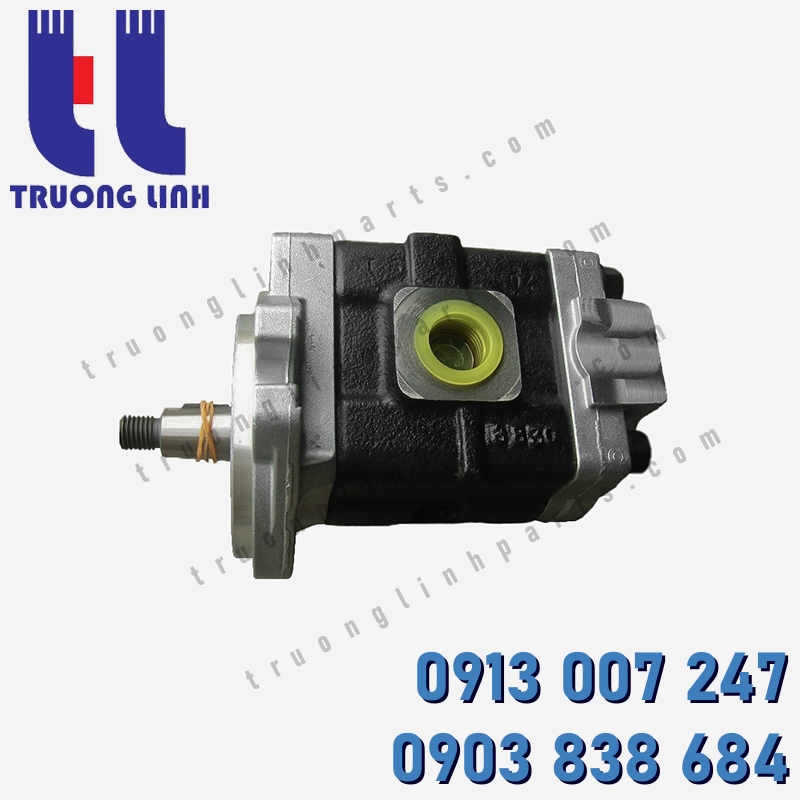 DSG05-18L182 Hydraulic Gear Pump