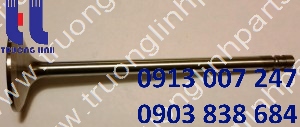 VOE3978768 INLET VALVE