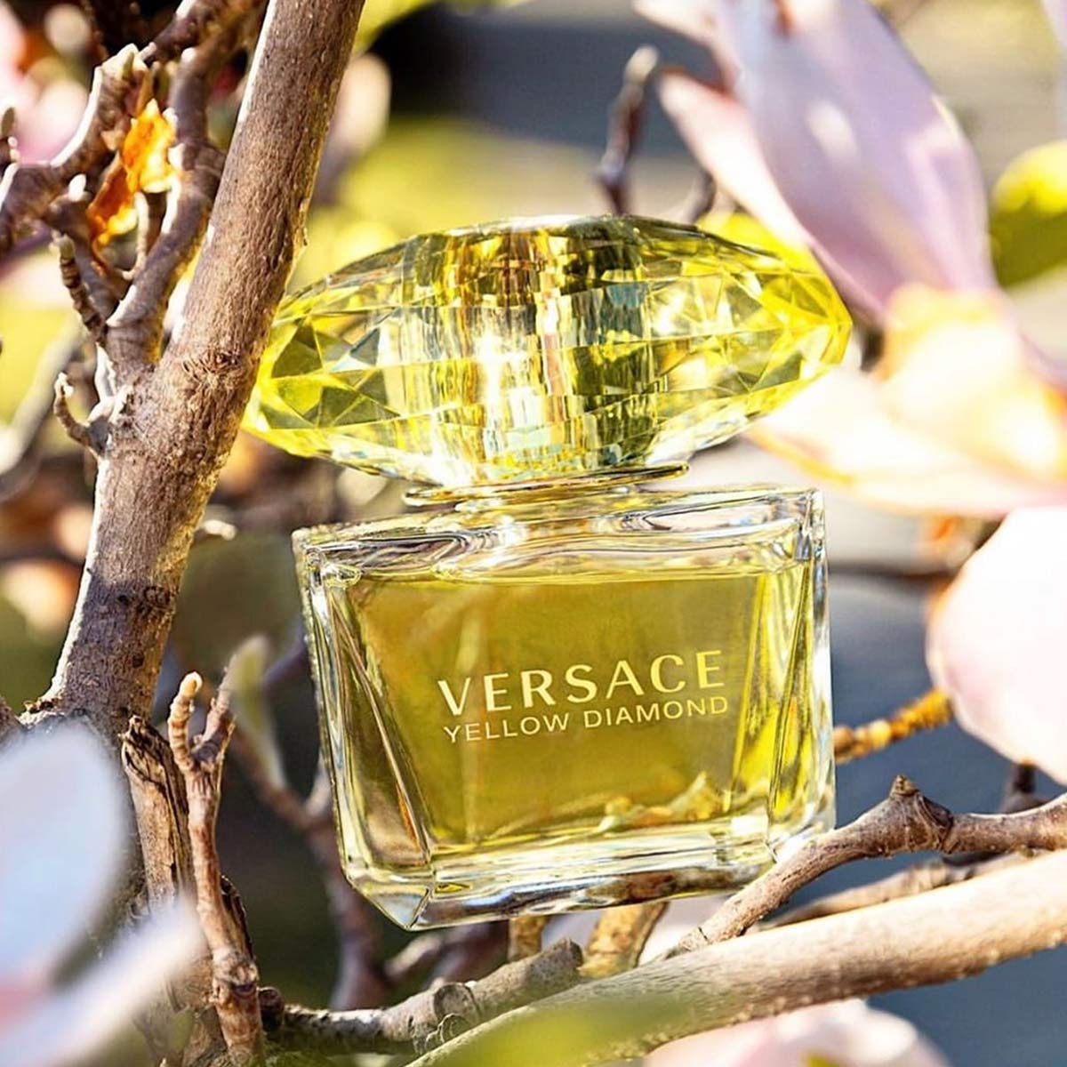 Nước Hoa Nữ Versace Yellow Diamond