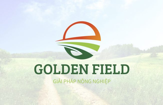 Thiết kế logo công ty GOLDEN FIELD